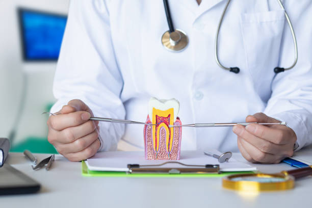 Best Emergency Dentist for Lost Fillings or Crowns in Mill Creek, WA